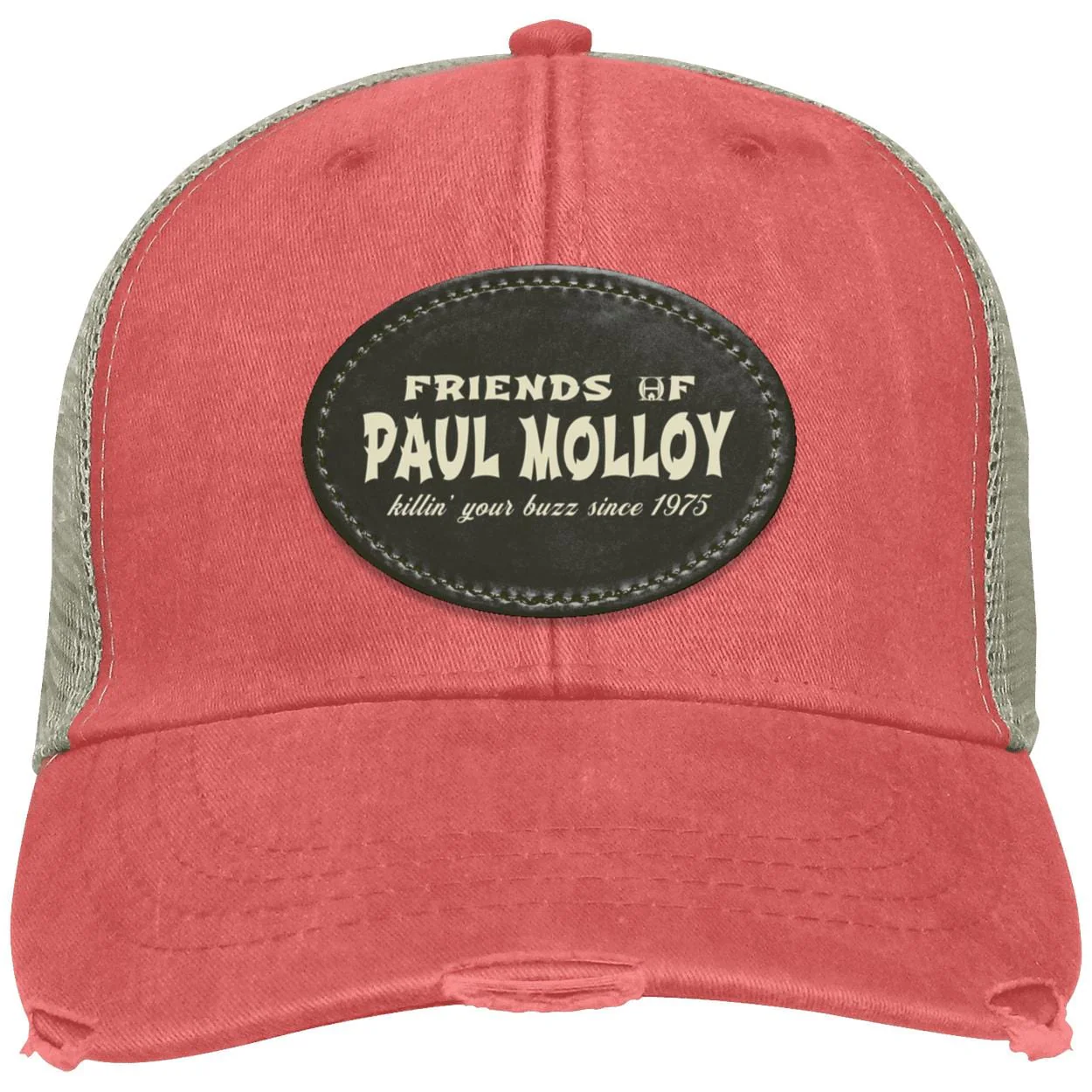 Paul Molloy - Image 2