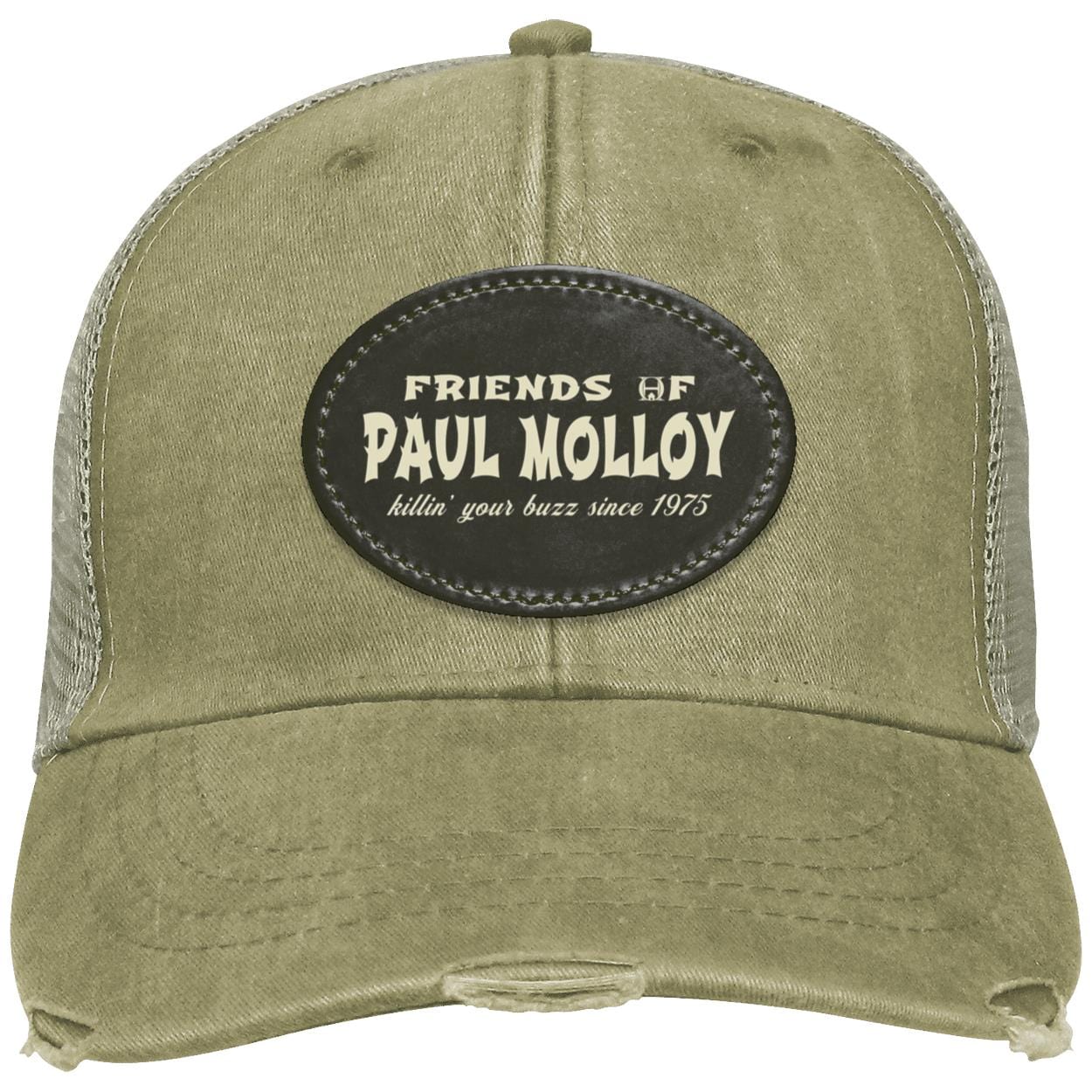 Paul Molloy - Image 8
